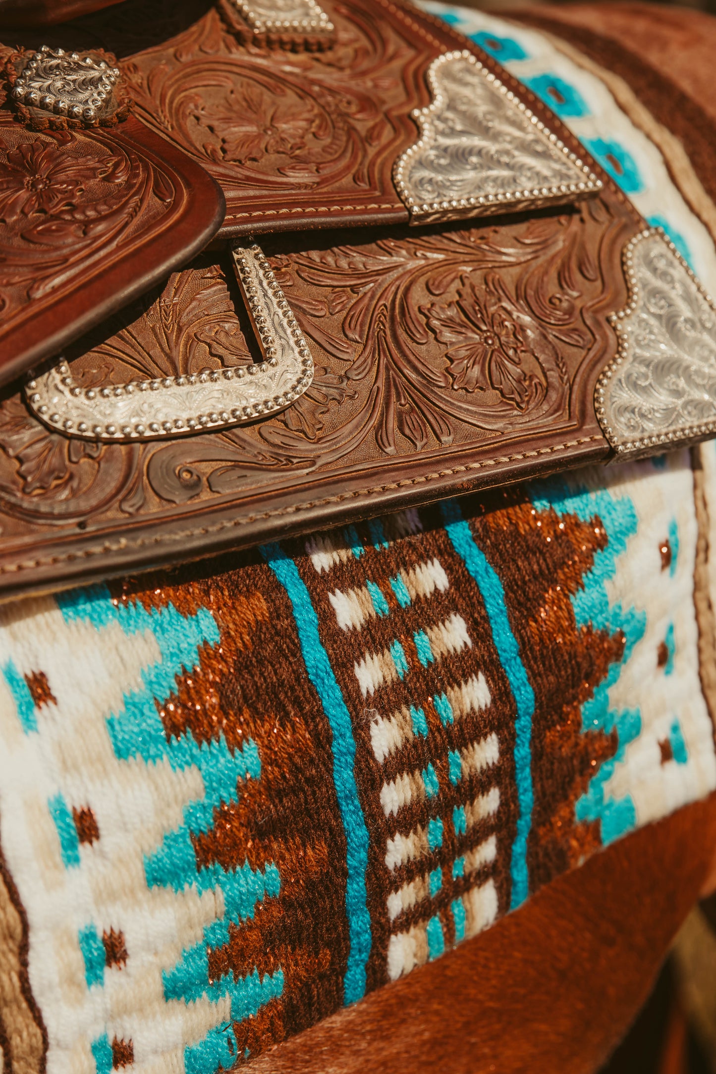 Show Stoppin | Show Blanket | 8322